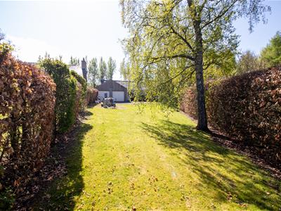 Picture 26